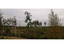 IMG 20200905 103544.jpg