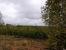 IMG 20200919 133304.jpg