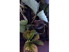 IMG 20200914 103209 HHT.jpg