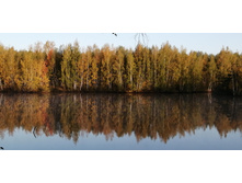 IMG 20200928 070450.jpg