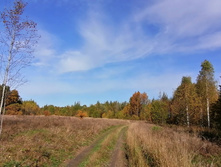 IMG 20200927 112439.jpg