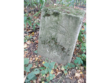 20200913 154831 HDR.jpg