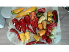 ������ �����1.jpg