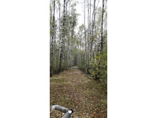 IMG 20200918 105553.jpg