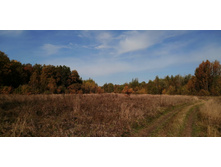 IMG 20200927 112624.jpg