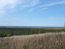 2020-09-26 13-08-14.jpg