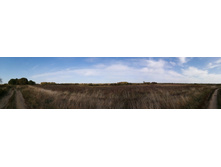 IMG 20200927 122314.jpg