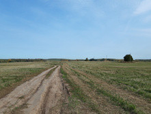2020-09-26 12-19-07.jpg