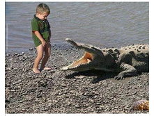 Screenshot 20200918 081707.jpg