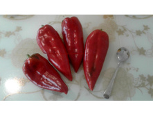 ����� ��������� (2).jpg