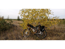 IMG 20200905 102917.jpg