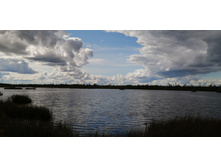 IMG 20200912 134904.jpg