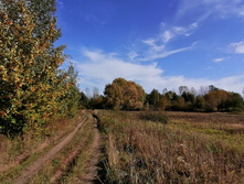 IMG 20200927 123642.jpg