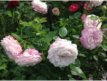 ���������������