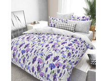 ������ �������� �������� ������ 220 ��