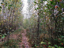 IMG 20200919 113845.jpg