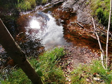 IMG 20200920 141245.jpg