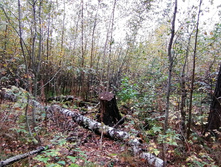 IMG 20200919 113128.jpg