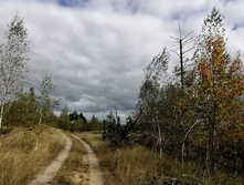 IMG 20200916 114122.jpg