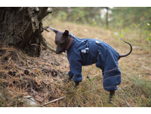 ����������� viber 2020-09-27 11-47-02.jpg