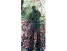 IMG 20200920 131129.jpg