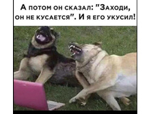 Screenshot 20200920 060531.jpg