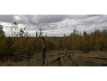 IMG 20200914 152959.jpg