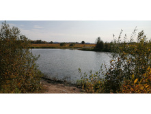 IMG 20200927 123411.jpg