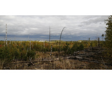 IMG 20200918 133928.jpg