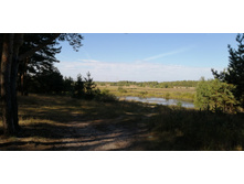 IMG 20200906 101518.jpg