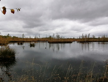 IMG 20200919 121046.jpg