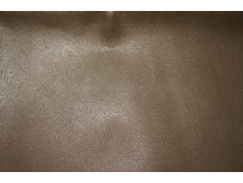 ������ ��������� 101.�������.