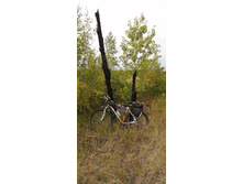 IMG 20200905 105034.jpg