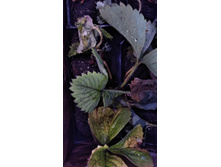 IMG 20200914 103159 HHT.jpg