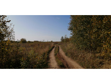 IMG 20200927 115806.jpg