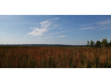 IMG 20200906 092005.jpg