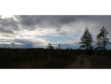 IMG 20200918 153949.jpg