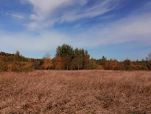 IMG 20200927 110025.jpg