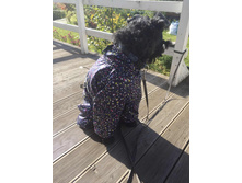 ����������� viber 2020-09-15 10-48-06.jpg