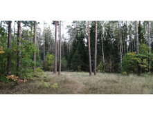 IMG 20200912 180727.jpg