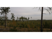 IMG 20200905 103028.jpg