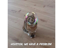 �������, � ��� ��������