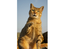 ������ ����!