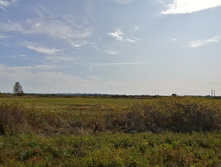 IMG 20200927 121856.jpg