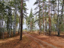 IMG 20200919 110621.jpg