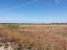 IMG 20200906 094956.jpg