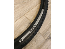 20200830 131418 HDR.jpg