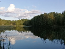 IMG 20200912 171320.jpg