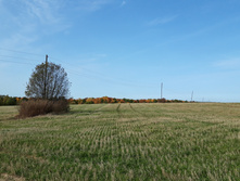 2020-09-26 12-19-58.jpg