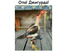 Screenshot 20200910 154355.jpg